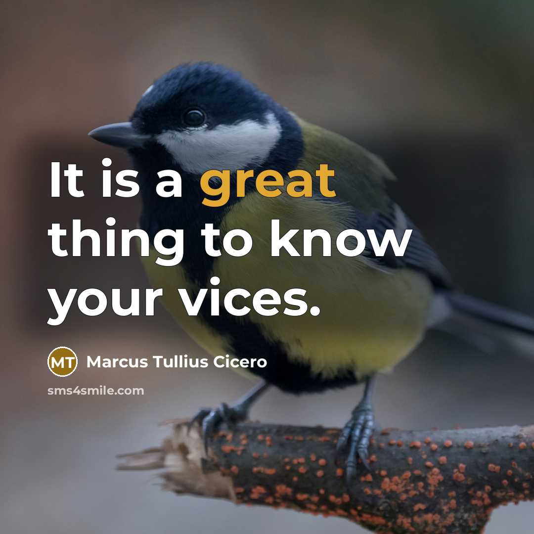 “It is a great thing to know your vices.…” quote by Marcus Tullius Cicero