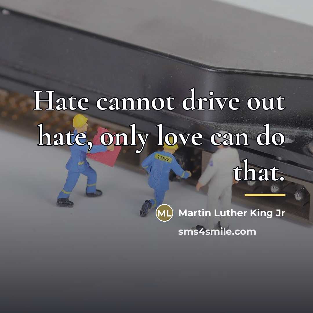 “Hate cannot drive out hate, only love can do that.…” quote by Martin Luther King Jr
