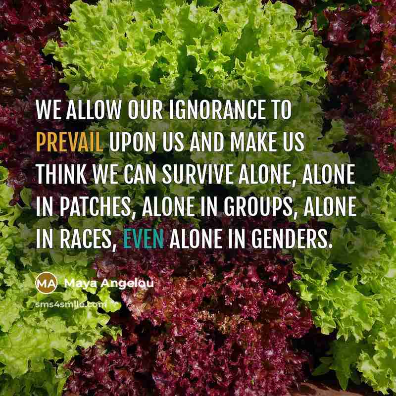 “We allow our ignorance to prevail upon us and make…” quote by Maya Angelou