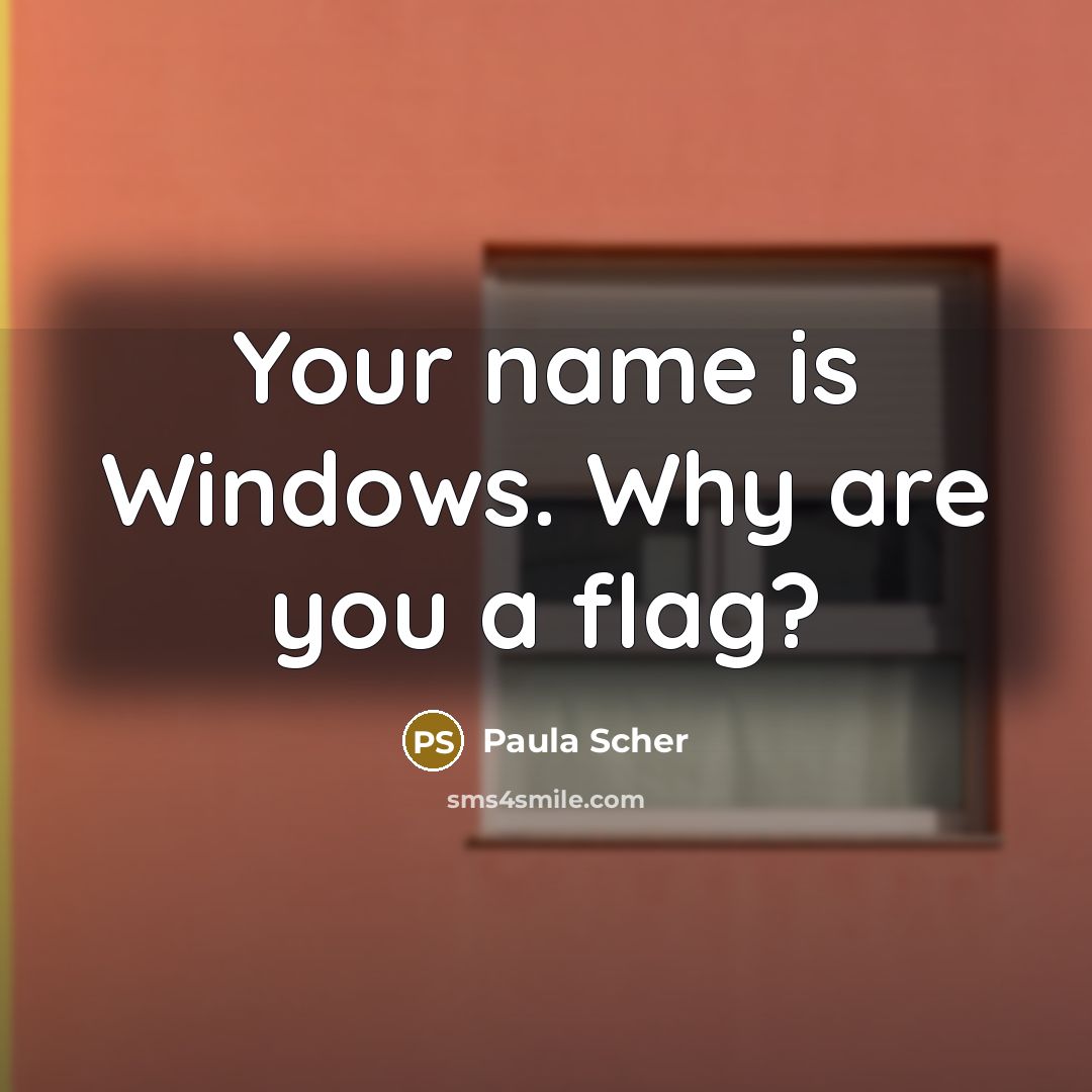 “Your name is Windows. Why are you a flag?…” quote by Paula Scher