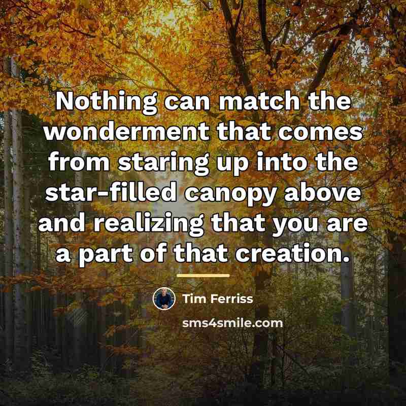 “Nothing can match the wonderment that comes from staring up…” quote by Tim Ferriss