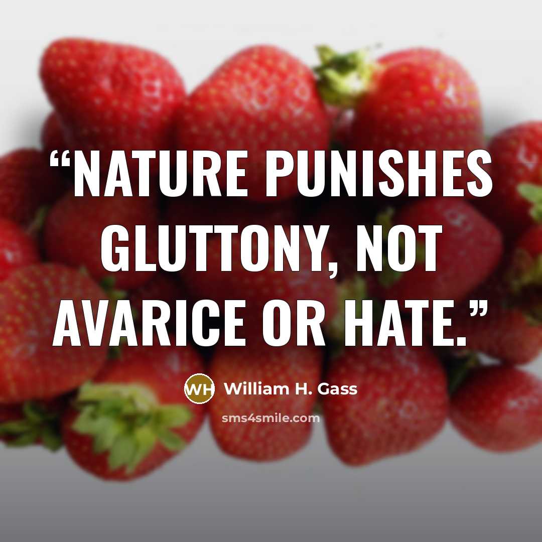 “Nature punishes gluttony, not avarice or hate.” quote by William H. Gass
