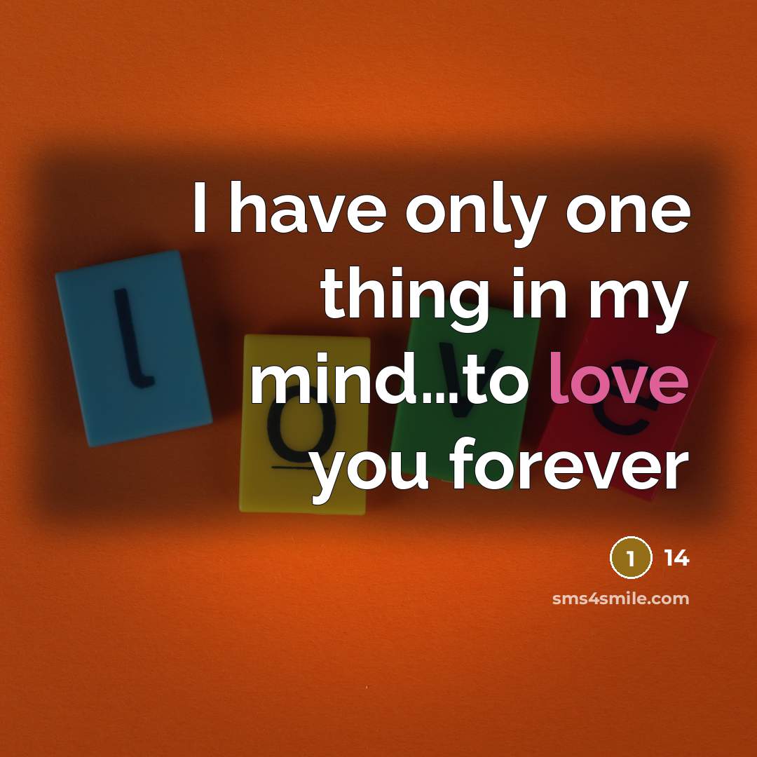 “I have only one thing in my mind…to love you forever” quote by 14