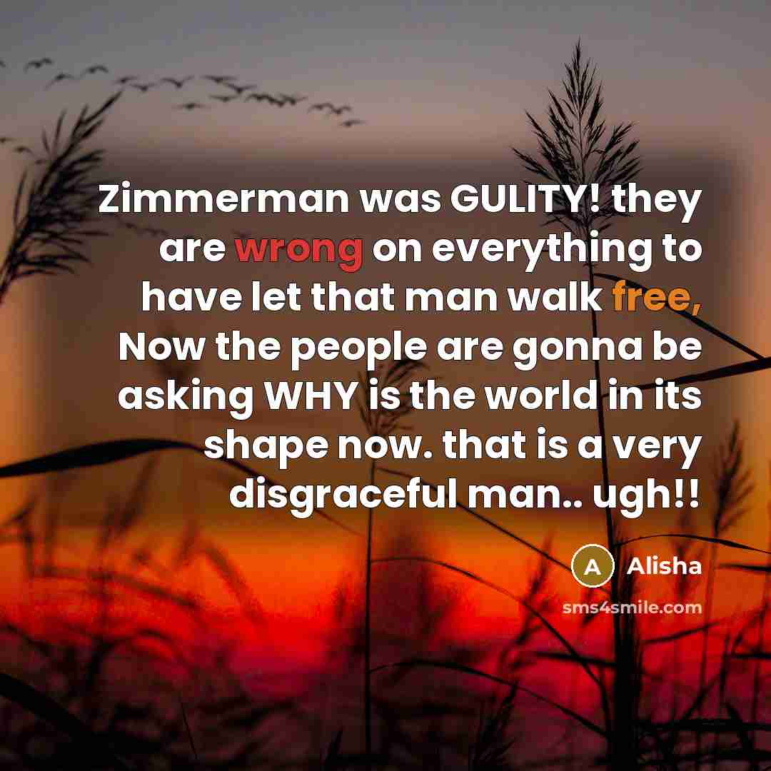 “Zimmerman was GULITY! they are wrong on everything to have let that man walk free, Now the people are gonna be asking WHY is the world in its shape now. that is a very disgraceful man.. ugh!!” quote by Alisha