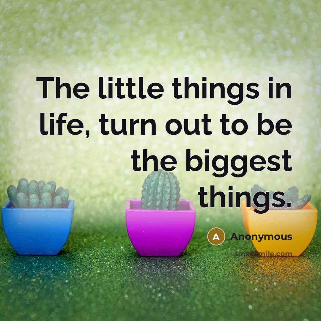 “The little things in life, turn out to be the…” quote by Anonymous