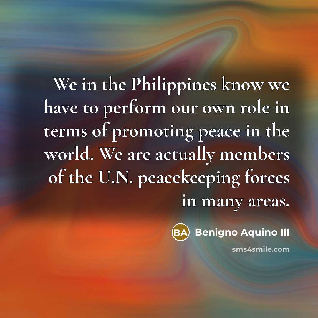 “We in the Philippines know we have to perform our…” quote by Benigno Aquino III