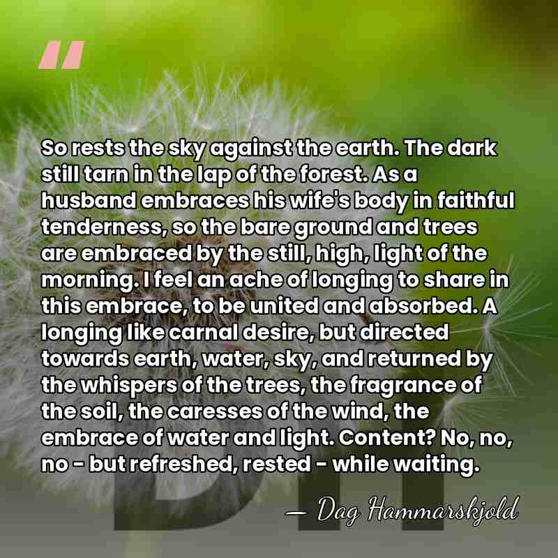 So rests the sky against the earth. The dark still tarn in&hellip; - Dag Hammarskjold