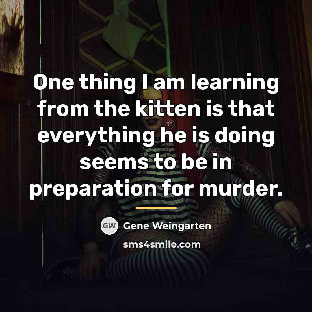 “One thing I am learning from the kitten is that…” quote by Gene Weingarten