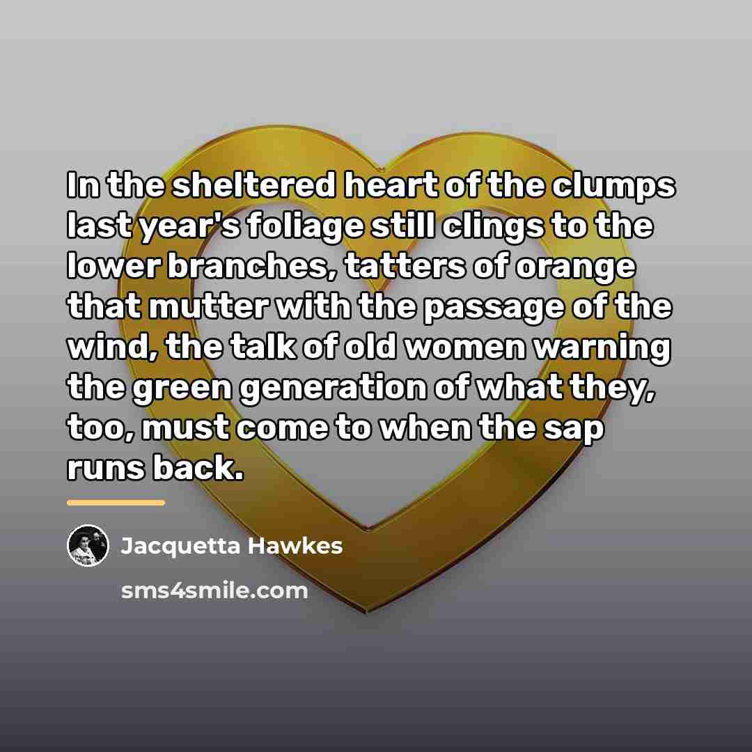 “In the sheltered heart of the clumps last year's foliage…” quote by Jacquetta Hawkes