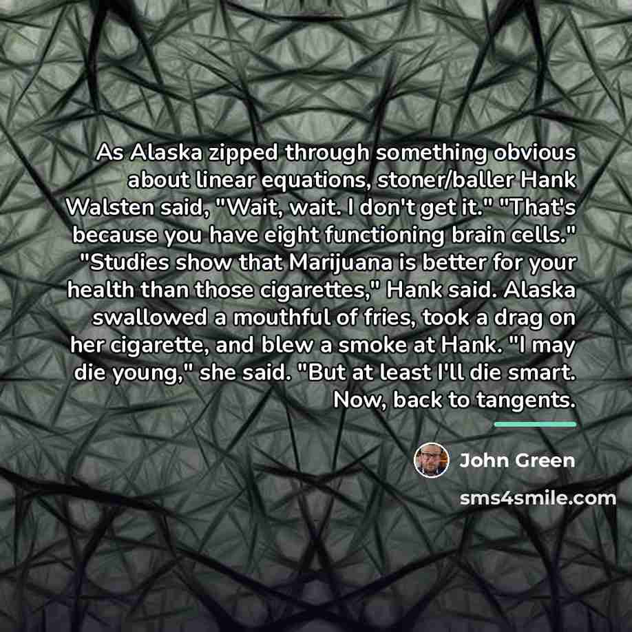 “As Alaska zipped through something obvious about linear equations, stoner/baller…” quote by John Green
