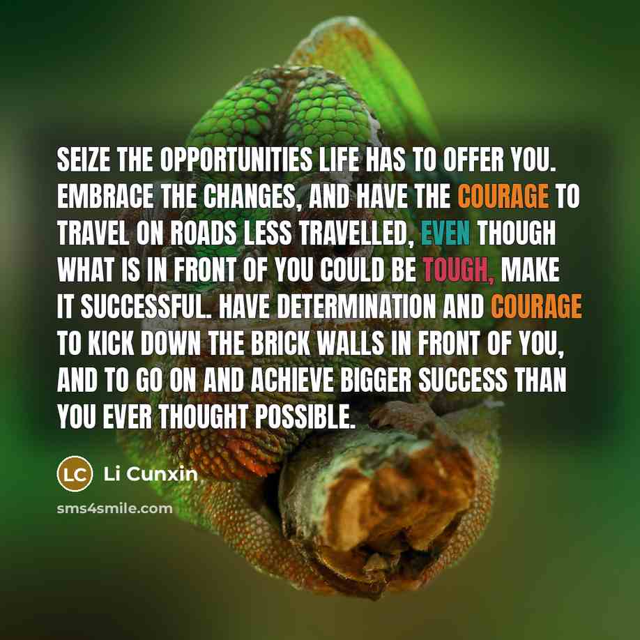“Seize the opportunities life has to offer you. Embrace the…” quote by Li Cunxin