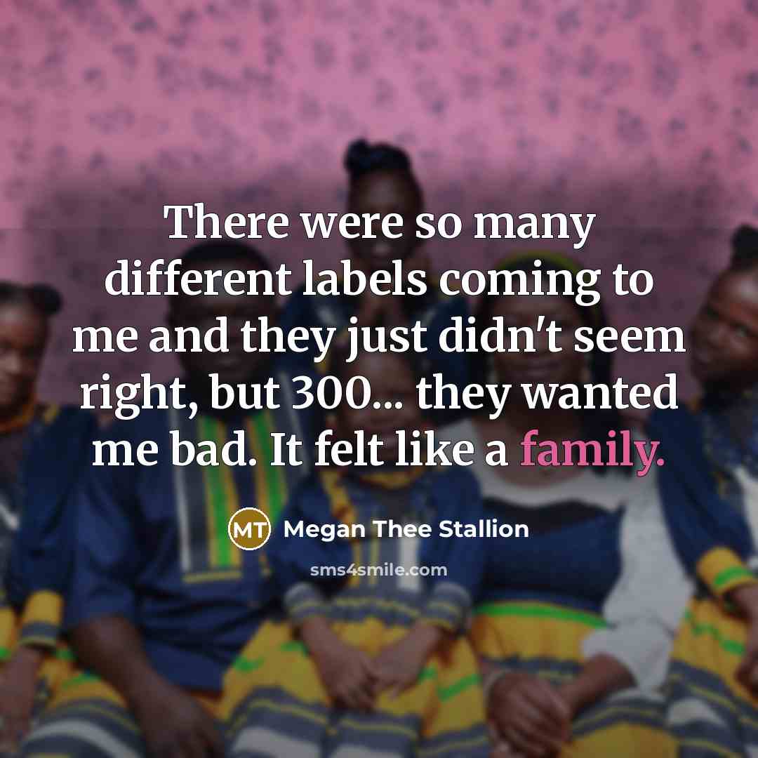 “There were so many different labels coming to me and…” quote by Megan Thee Stallion