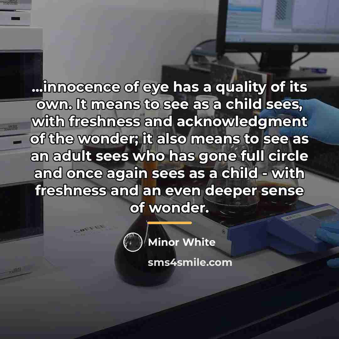“...innocence of eye has a quality of its own. It…” quote by Minor White