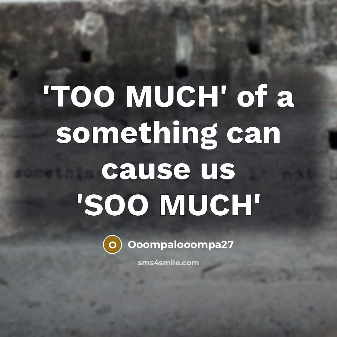 “'TOO MUCH' of a something can cause us 'SOO MUCH'…” quote by Ooompalooompa27