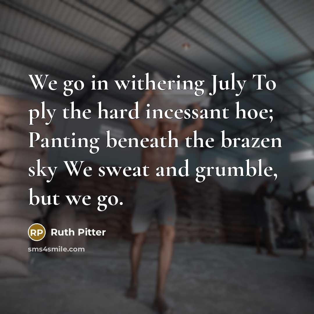 “We go in withering July To ply the hard incessant…” quote by Ruth Pitter