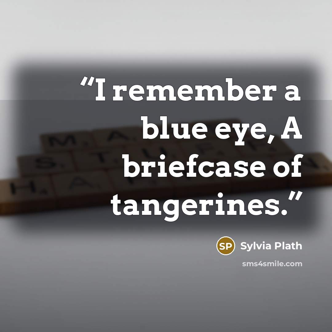 “I remember a blue eye, A briefcase of tangerines.” quote by Sylvia Plath