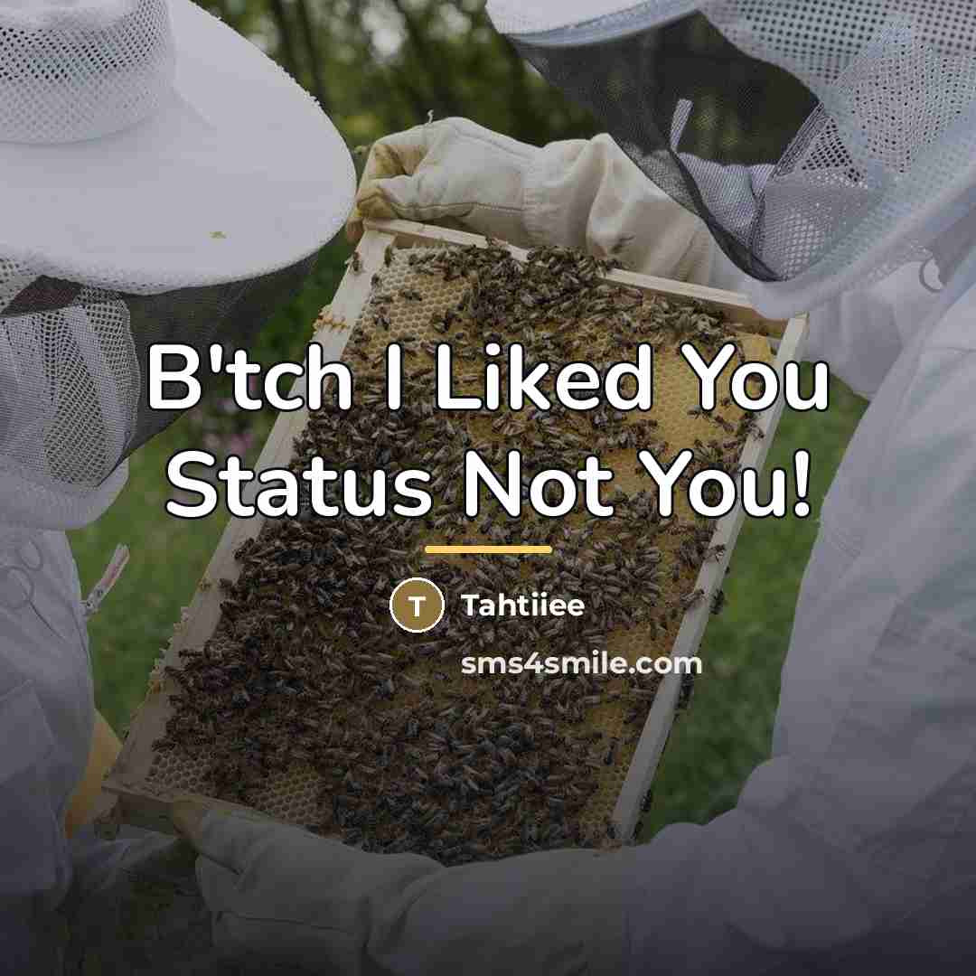 “B'tch I Liked You Status Not You!…” quote by Tahtiiee
