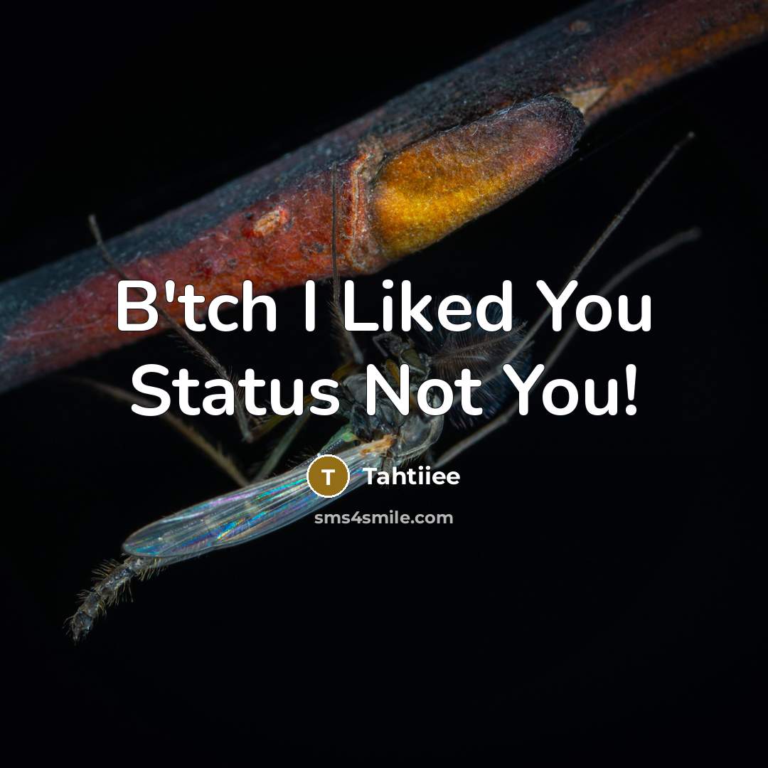 “B'tch I Liked You Status Not You!” quote by Tahtiiee