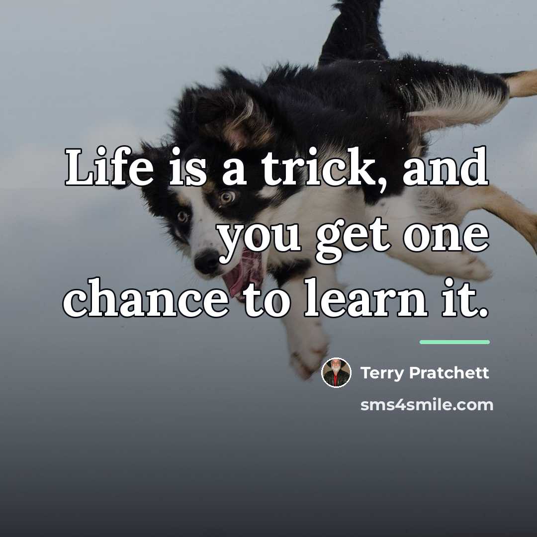 “Life is a trick, and you get one chance to…” quote by Terry Pratchett
