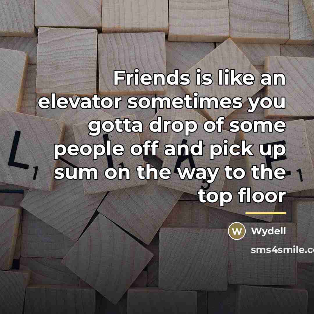 “Friends is like an elevator sometimes you gotta drop of…” quote by Wydell