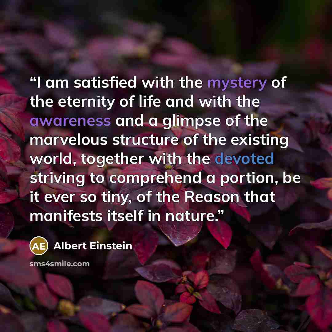 “I am satisfied with the mystery of the eternity of life and with the awareness and a glimpse of the marvelous structure of the existing world, together with the devoted striving to comprehend a portion, be it ever so tiny, of the Reason that manifests itself in nature.” quote by Albert Einstein