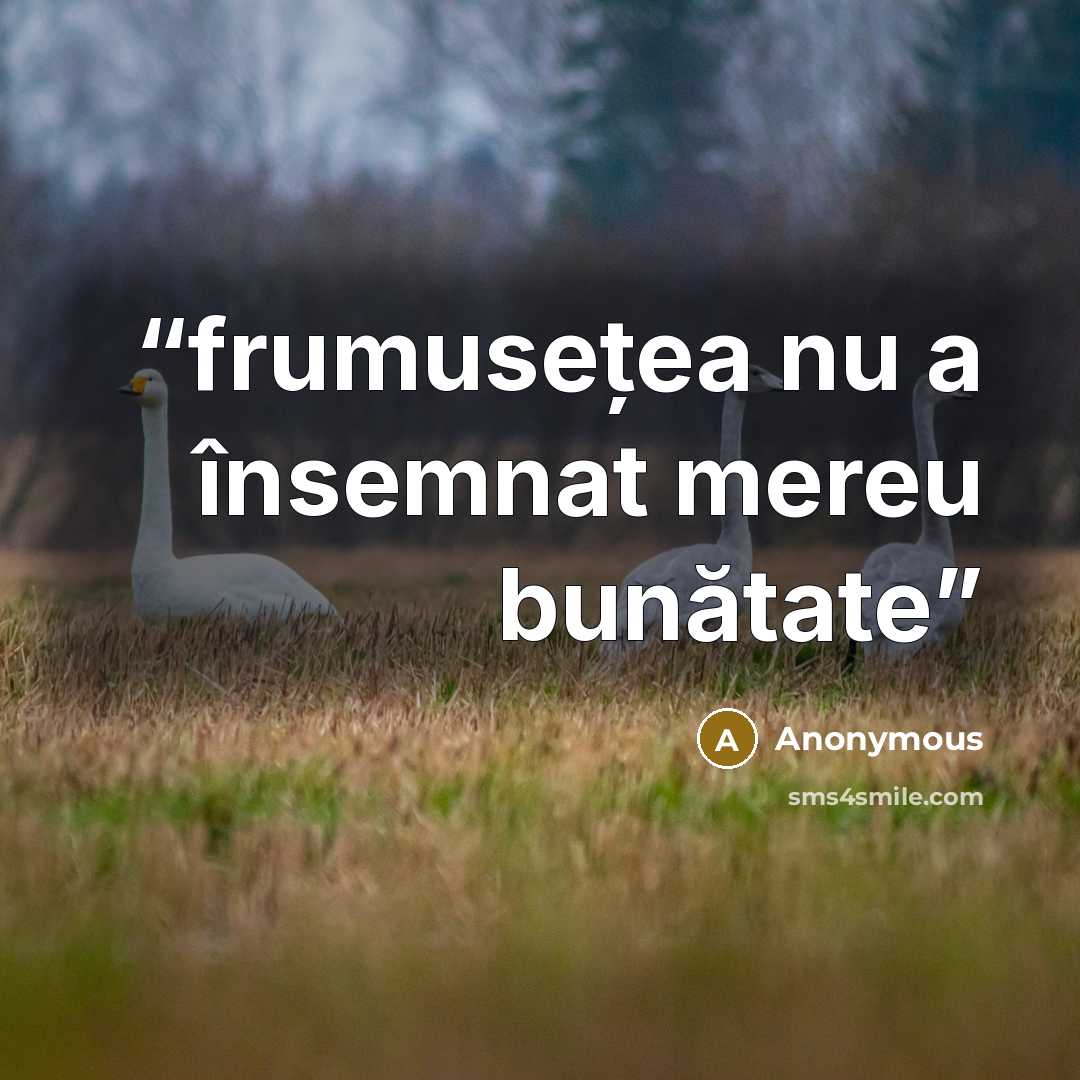 “frumusețea nu a însemnat mereu bunătate” quote by Anonymous