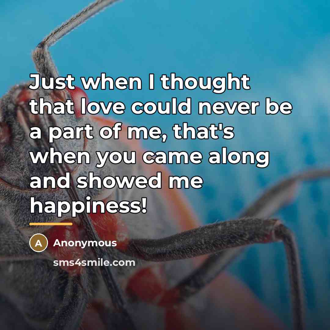 “Just when I thought that love could never be a…” quote by Elvin