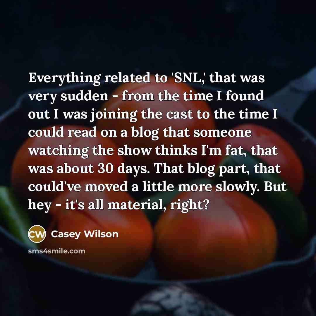 “Everything related to 'SNL,' that was very sudden - from…” quote by Casey Wilson