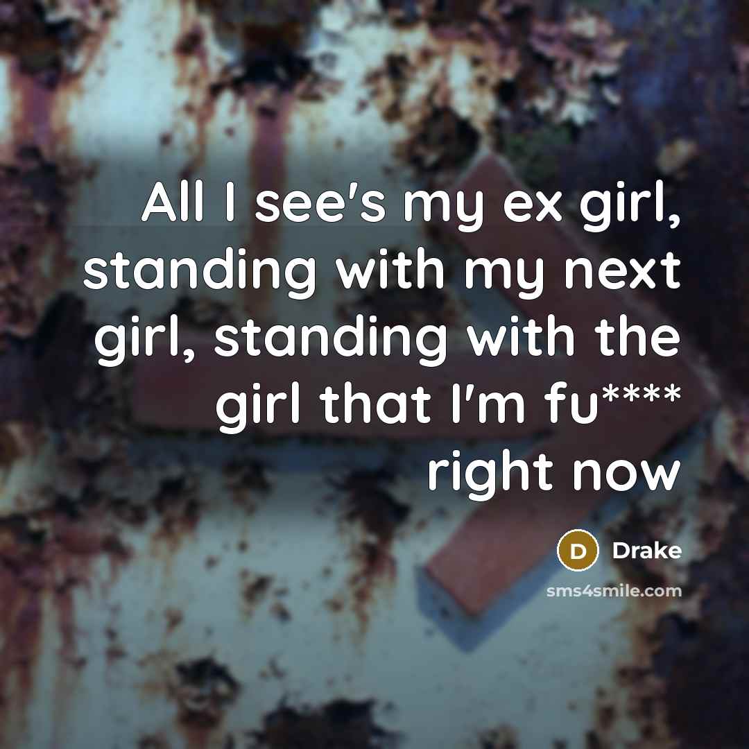 “All I see's my ex girl, standing with my next…” quote by Drake