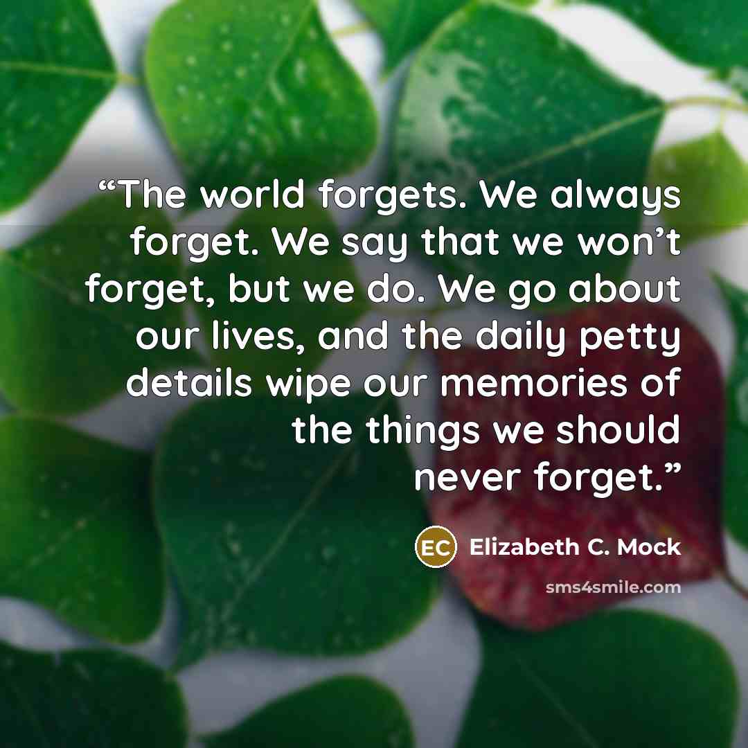 “The world forgets. We always forget. We say that we won’t forget, but we do. We go about our lives, and the daily petty details wipe our memories of the things we should never forget.” quote by Elizabeth C. Mock