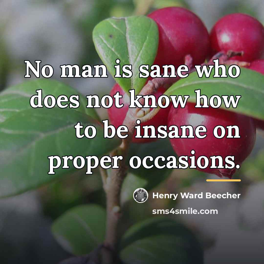 “No man is sane who does not know how to…” quote by Henry Ward Beecher