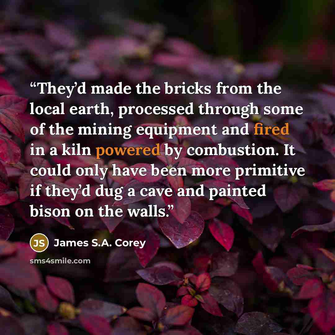 “They’d made the bricks from the local earth, processed through some of the mining equipment and fired in a kiln powered by combustion. It could only have been more primitive if they’d dug a cave and painted bison on the walls.” quote by James S.A. Corey