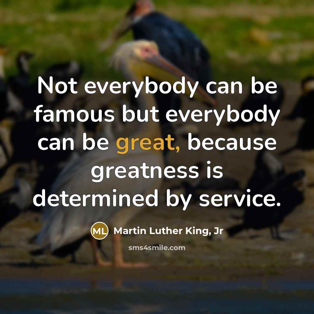 “Not everybody can be famous but everybody can be great,…” quote by Martin Luther King, Jr