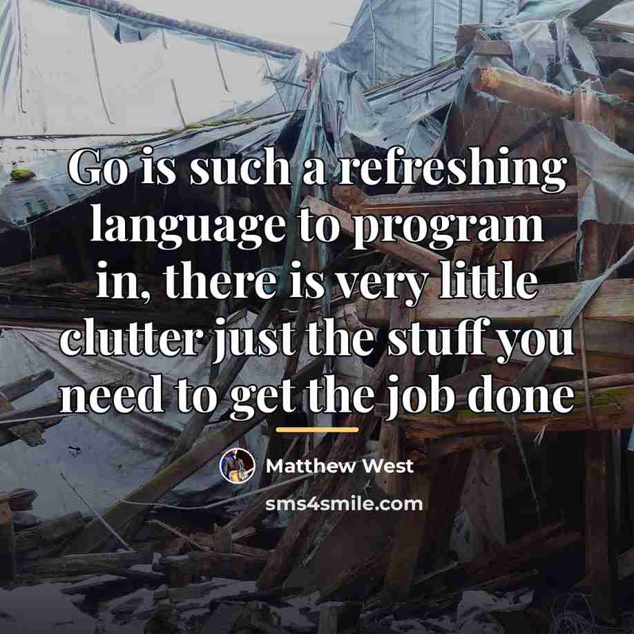“Go is such a refreshing language to program in, there…” quote by Matthew West