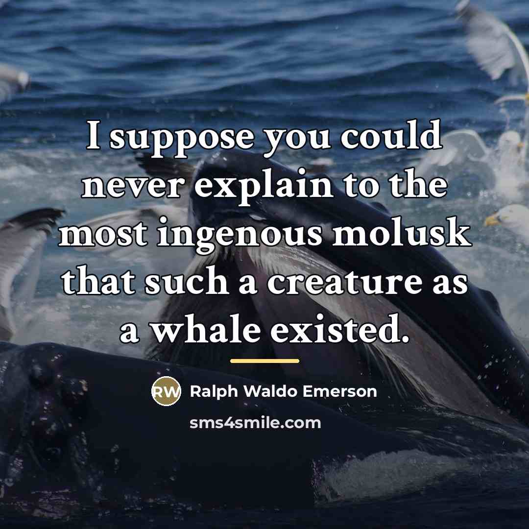 “I suppose you could never explain to the most ingenous…” quote by Ralph Waldo Emerson