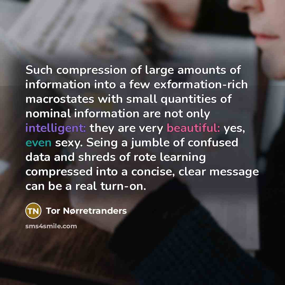 “Such compression of large amounts of information into a few…” quote by Tor Nørretranders
