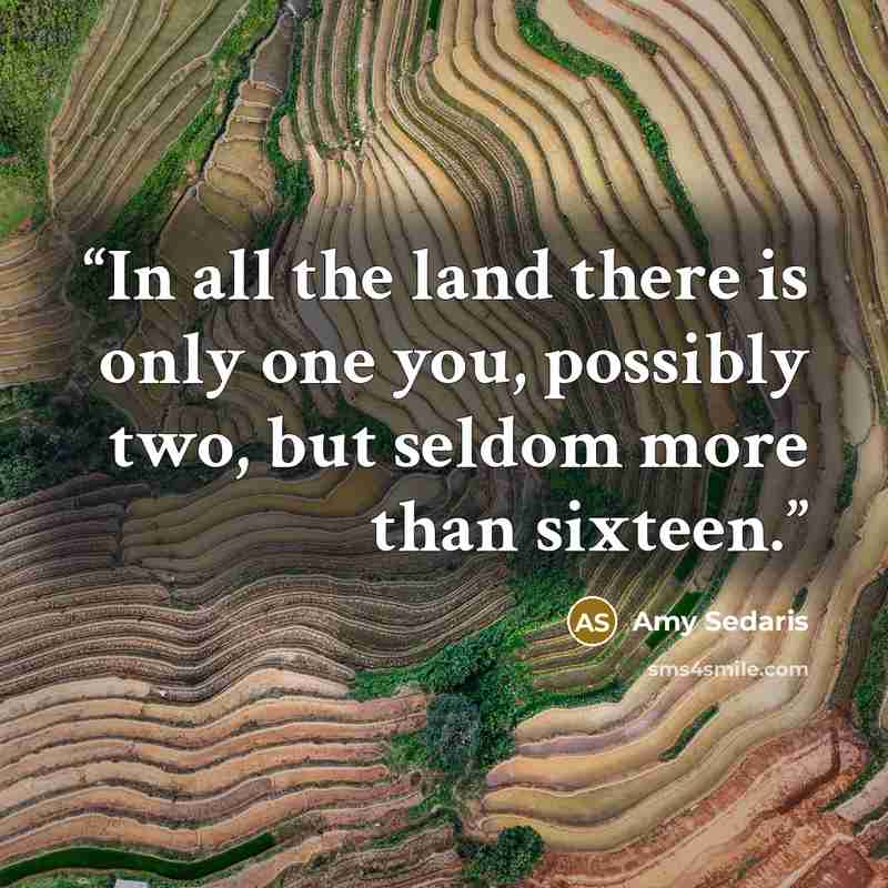 “In all the land there is only one you, possibly two, but seldom more than sixteen.” quote by Amy Sedaris