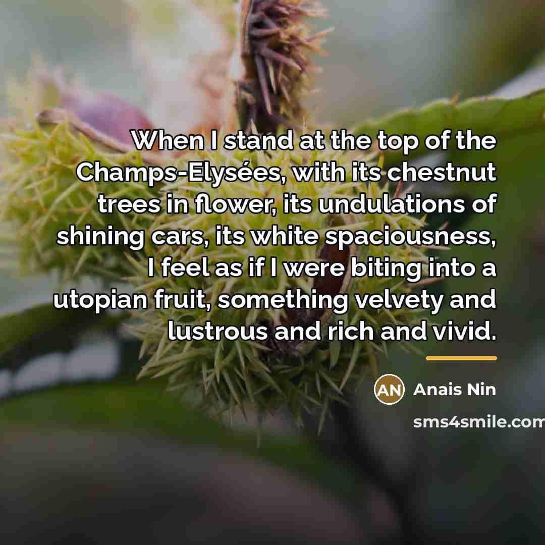 “When I stand at the top of the Champs-Elysées, with…” quote by Anais Nin