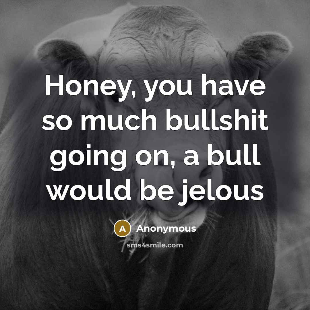 “Honey, you have so much bullshit going on, a bull would be jelous” quote by Anonymous