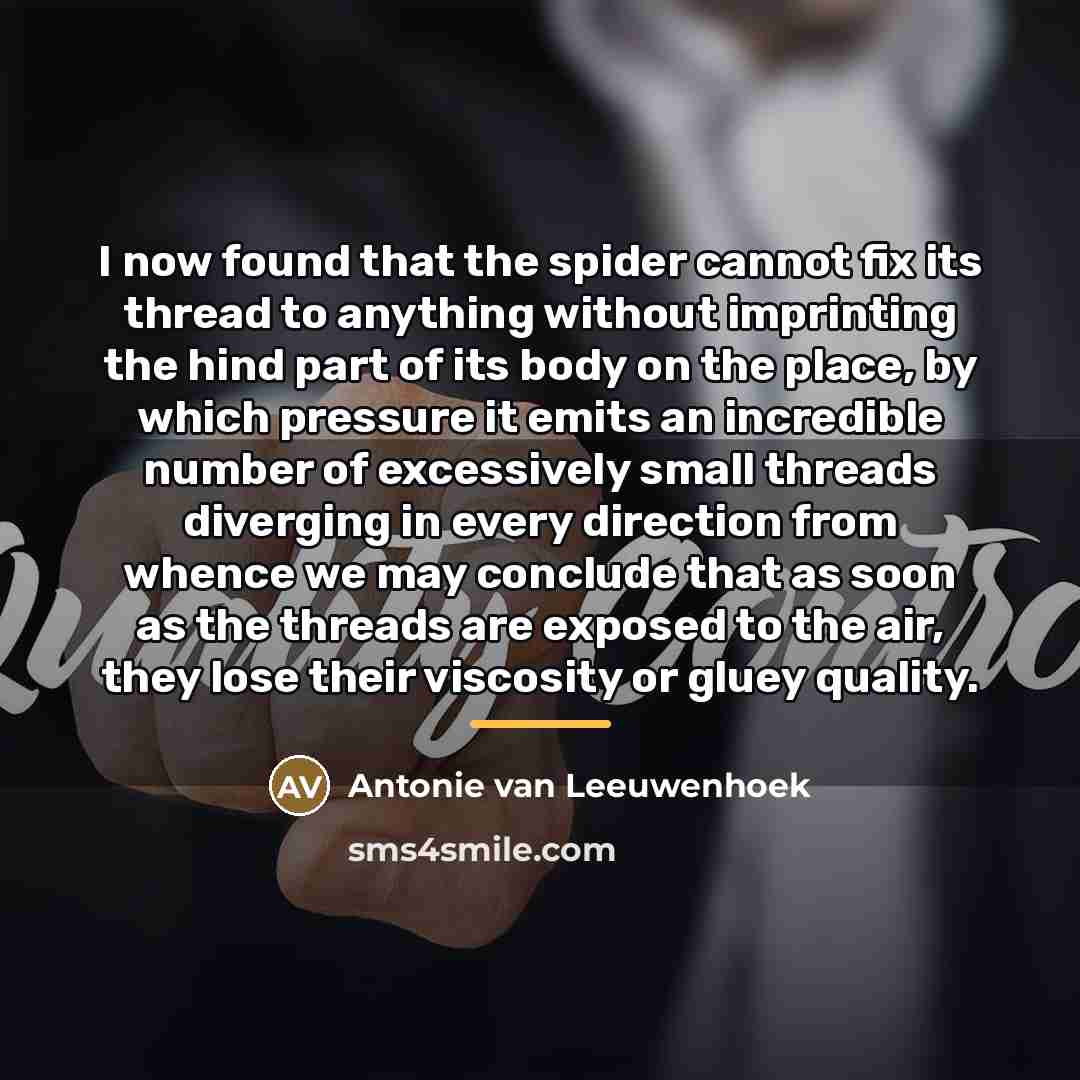 “I now found that the spider cannot fix its thread…” quote by Antonie van Leeuwenhoek