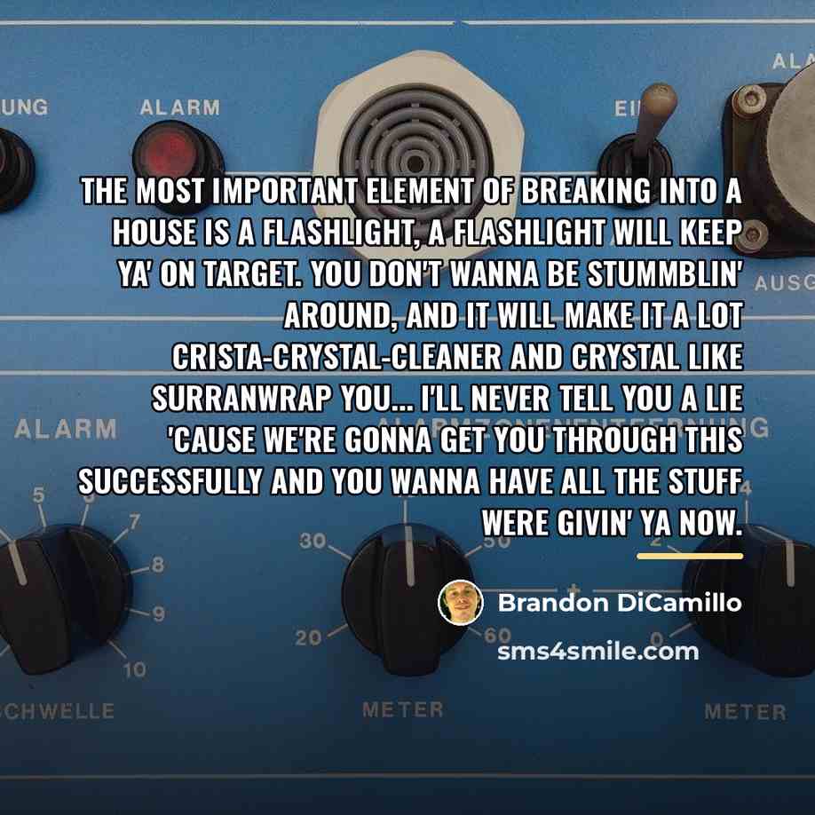 “The most important element of breaking into a house is…” quote by Brandon DiCamillo