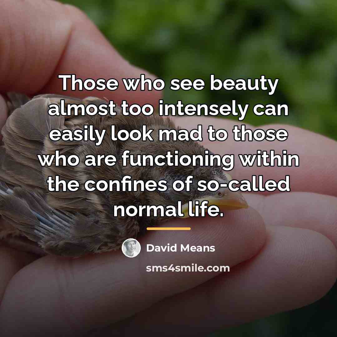 “Those who see beauty almost too intensely can easily look…” quote by David Means
