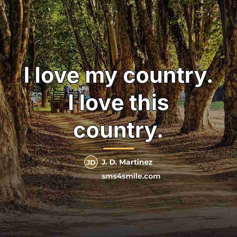 “I love my country. I love this country.…” quote by J. D. Martinez