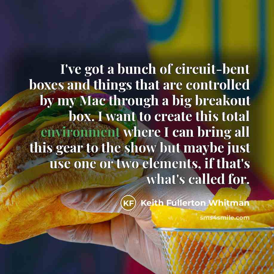 “I've got a bunch of circuit-bent boxes and things that…” quote by Keith Fullerton Whitman