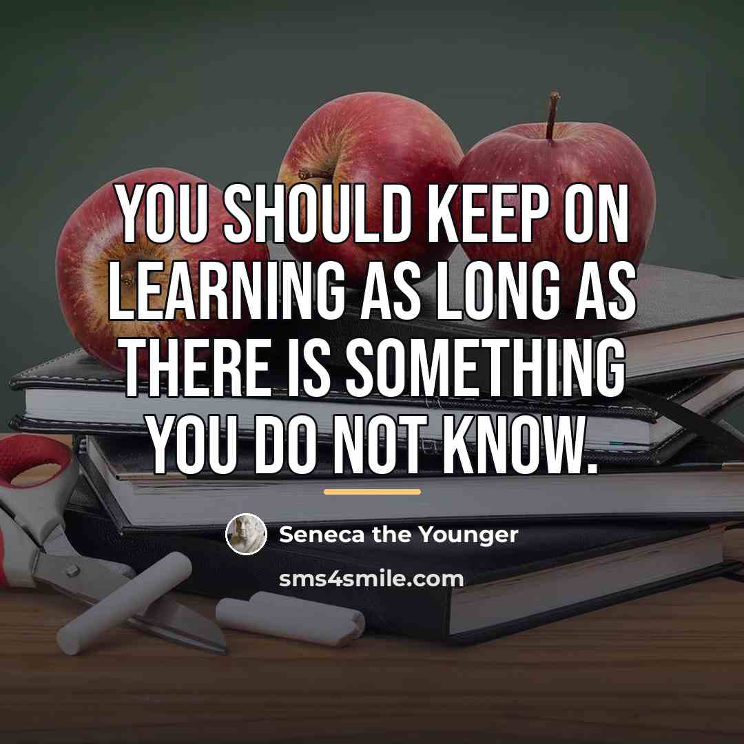 “You should keep on learning as long as there is…” quote by Seneca the Younger