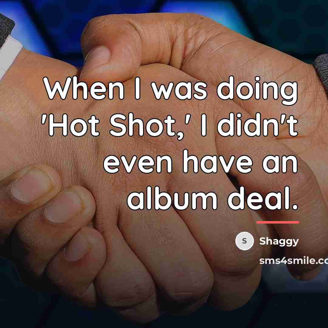 “When I was doing 'Hot Shot,' I didn't even have…” quote by Shaggy
