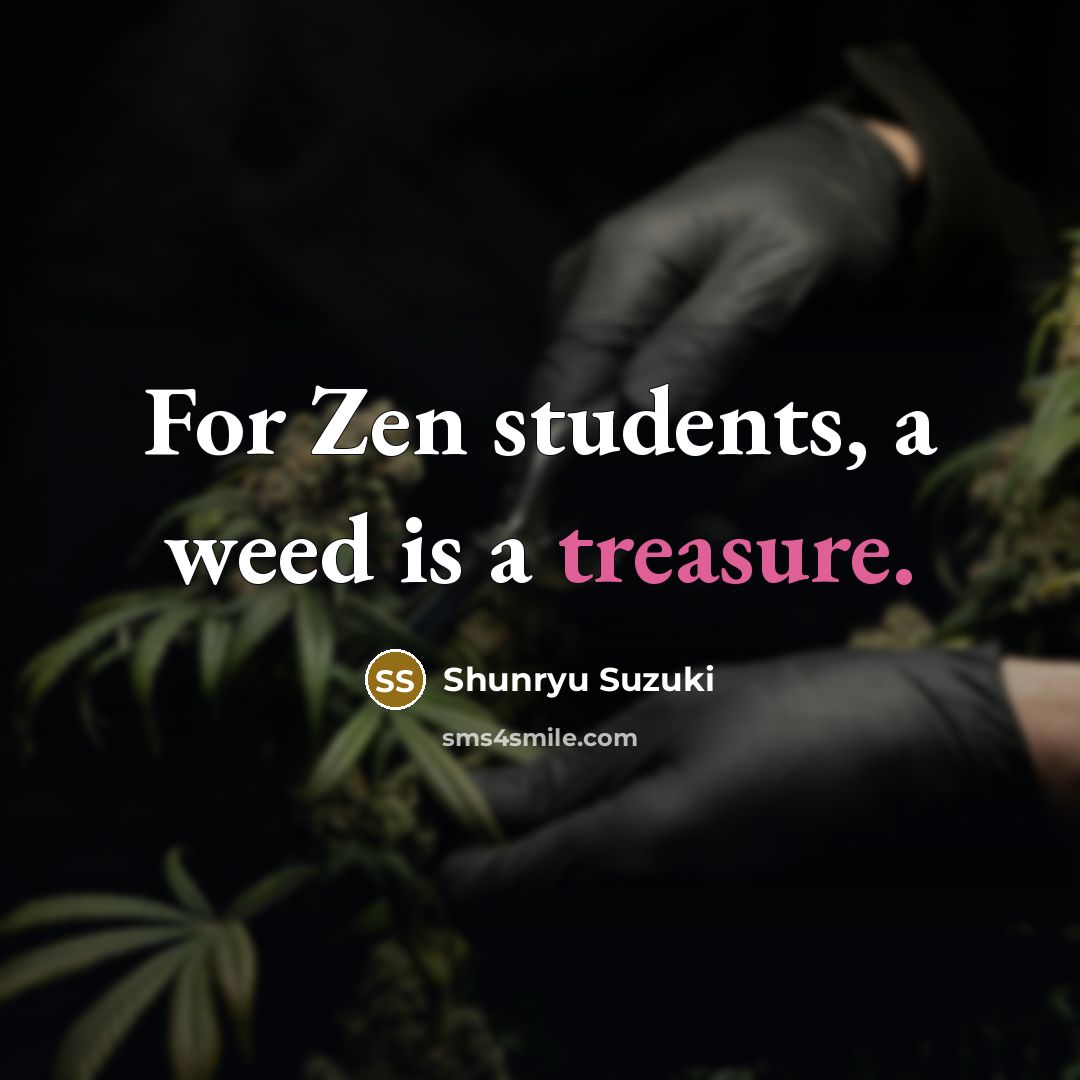 “For Zen students, a weed is a treasure.…” quote by Shunryu Suzuki