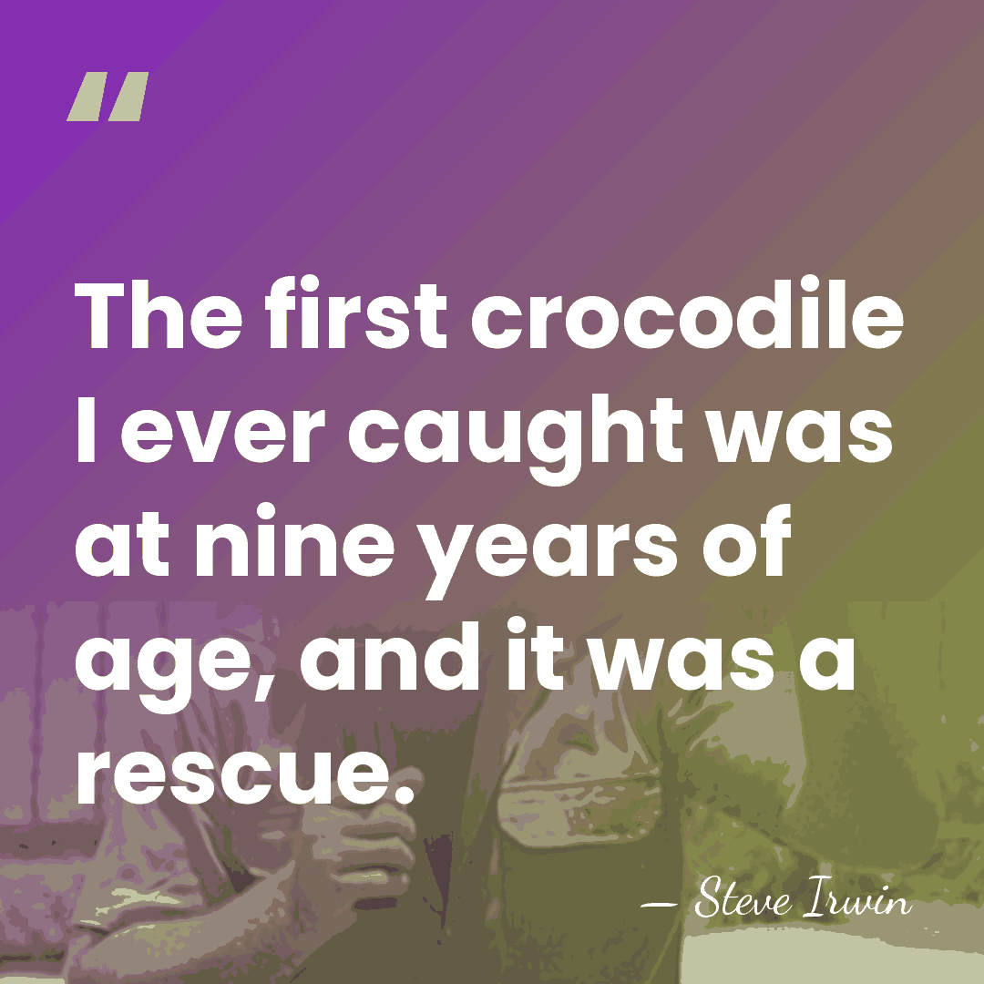 The first crocodile I ever caught was at nine years of age,&hellip; - Steve Irwin