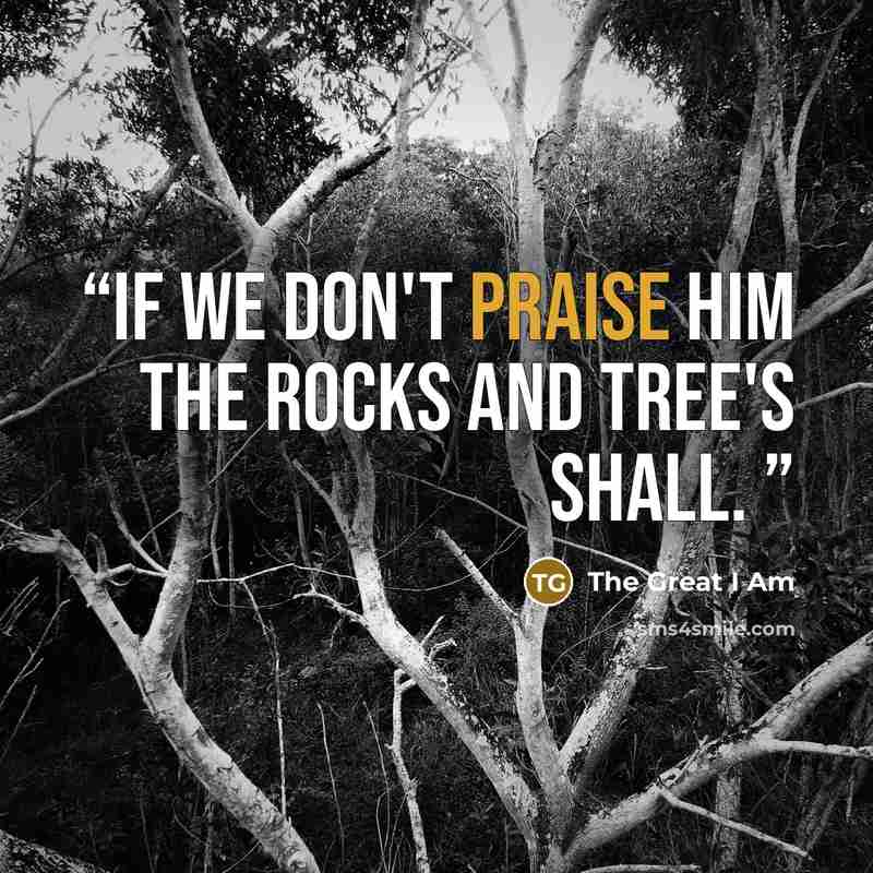 “If we don't praise Him the rocks and tree's shall.” quote by The Great I Am
