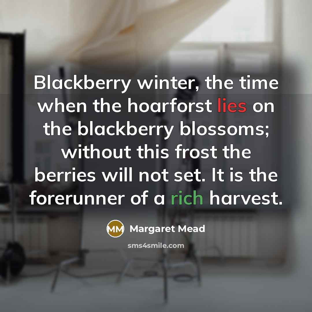 “Blackberry winter, the time when the hoarforst lies on the…” quote by Margaret Mead